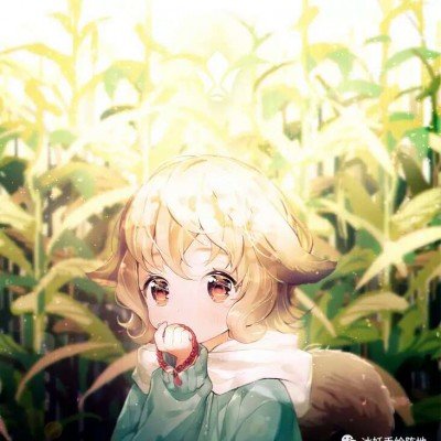 4只皮皮虾1035元涉事海鲜店回应